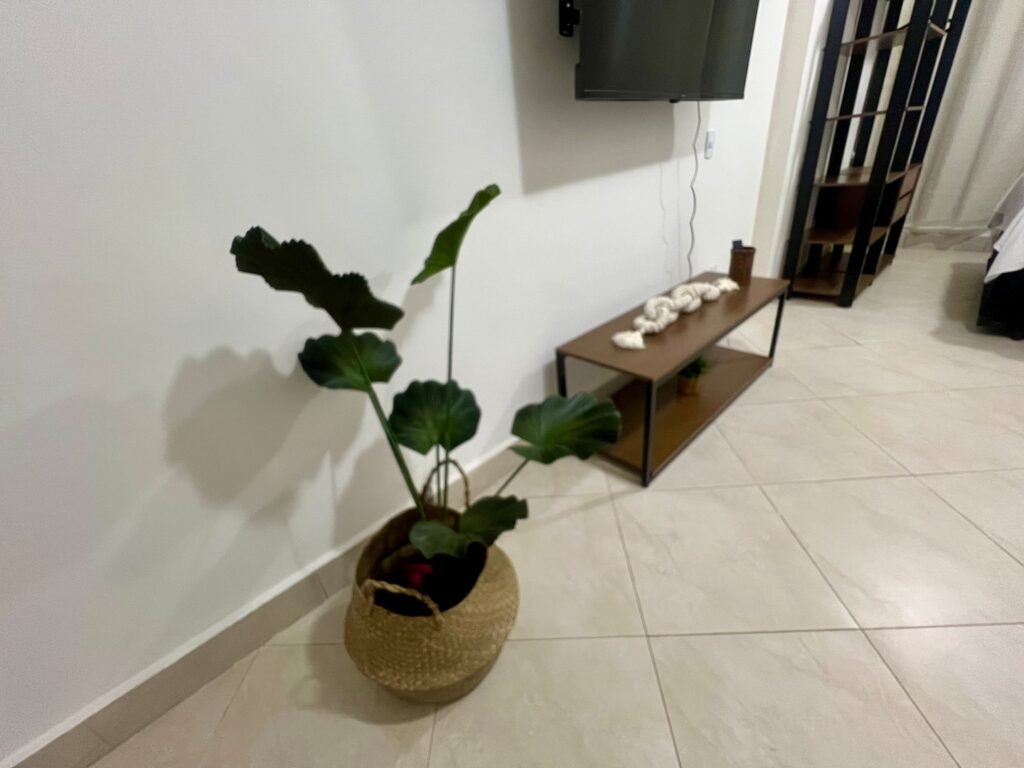 Fotos adicionais