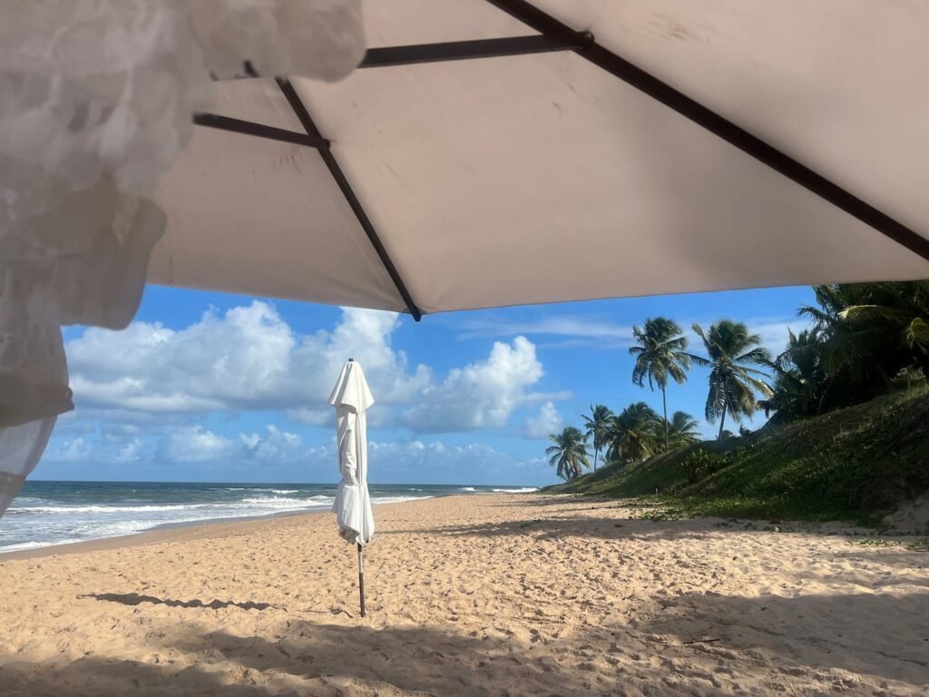 Fotos adicionais