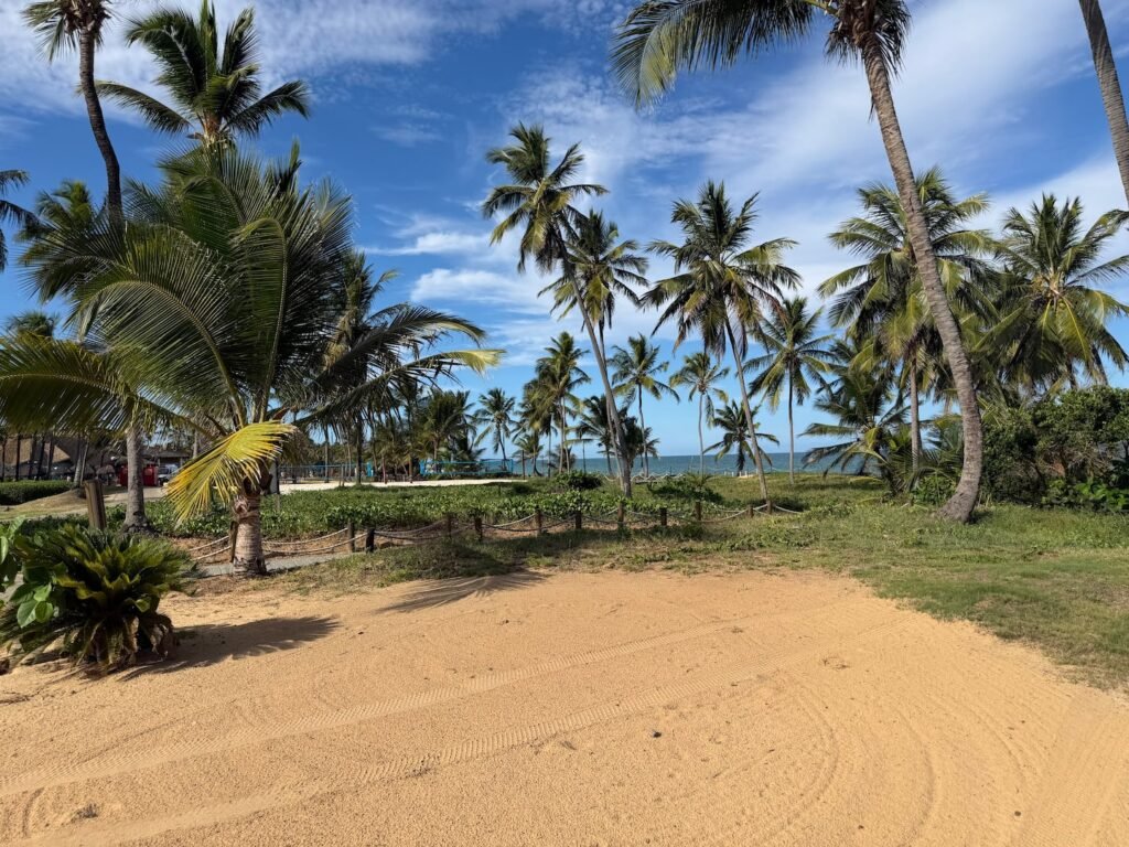Fotos adicionais